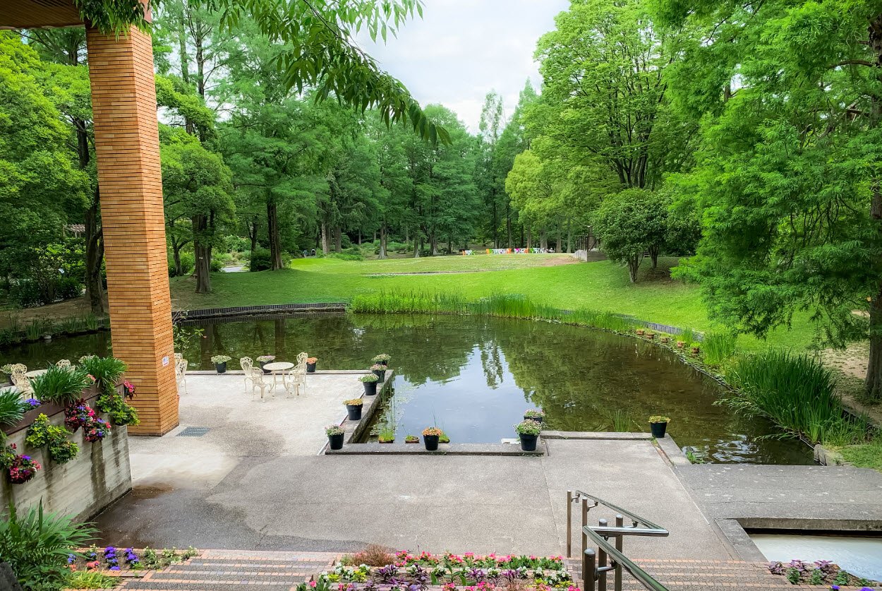 Hattori Ryokuchi Arboretum, Toyonaka, Japan, Japan